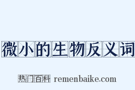 微小的生物反义词是什么意思的图片